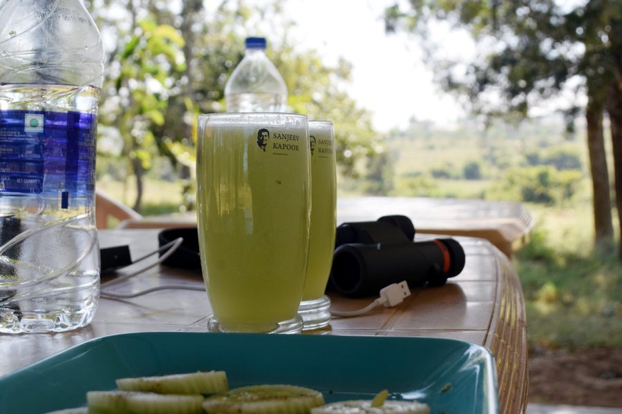Home-cooked South Indian meal served with scenic hill view at Bandipur homestay