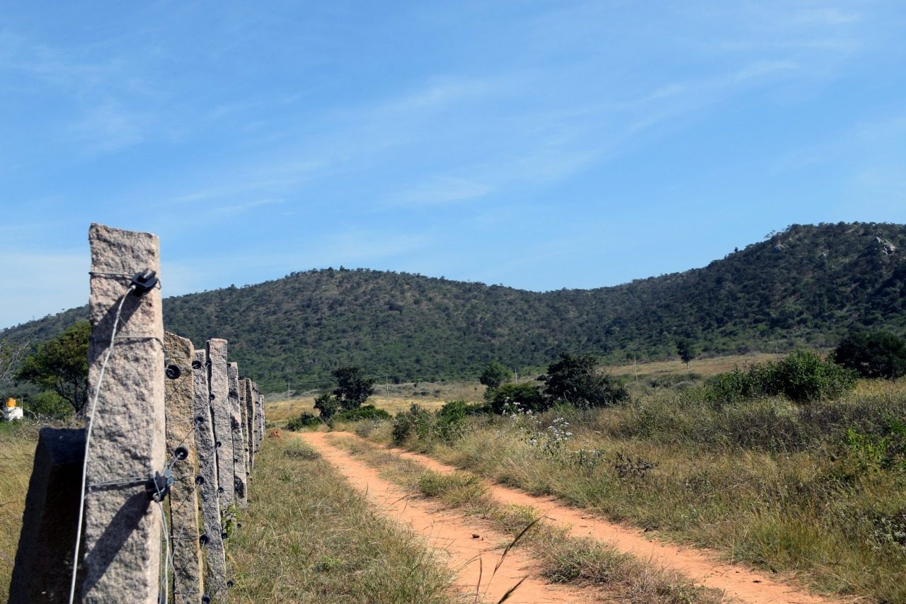 Scenic hill trail near Bandipur Hill View Homestay with blue sky
